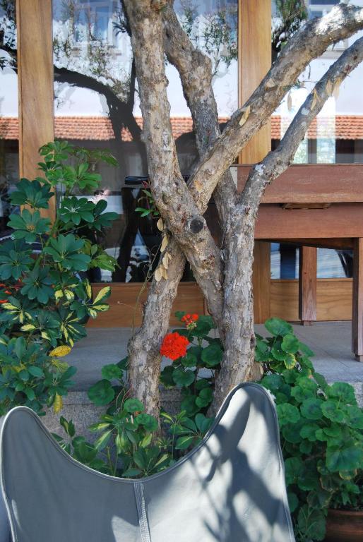 فندق لاميغوفي  Quinta De Tourais المظهر الخارجي الصورة