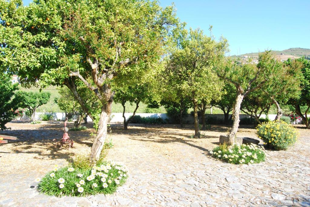 فندق لاميغوفي  Quinta De Tourais المظهر الخارجي الصورة